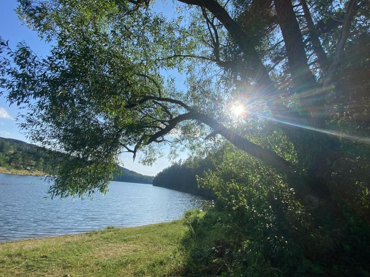 Pension Und Ferienwohnung Am Teich Шлайц Экстерьер фото